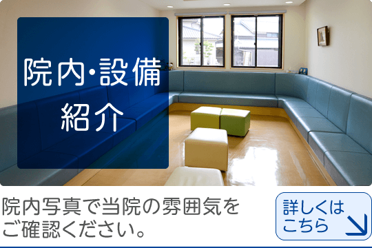院内・設備紹介|院内写真で当院の雰囲気をご確認ください。詳しくはこちら